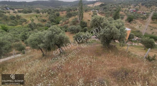 İzmir Torbalı Saipler 'de 735 M2 Yaşam Bahçesi