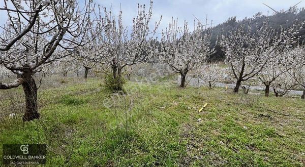 Özteam Den Bornova Yakaköyde Satılık Arsa