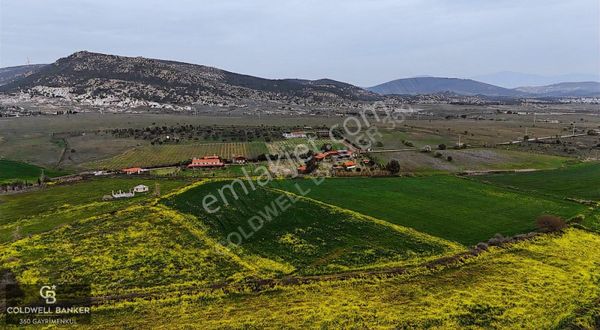 Foça Da Satılık 10.506 M2 Tarla
