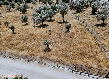 Üç Elmastan İnanılmaz Güzellikte 2.750 M² Tapulu Muhteşem Arazi