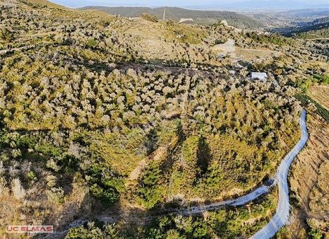 Üç Elmastan Uykularınızı Kaçıracak 14.800 M²tek Tapu Süper Arazi