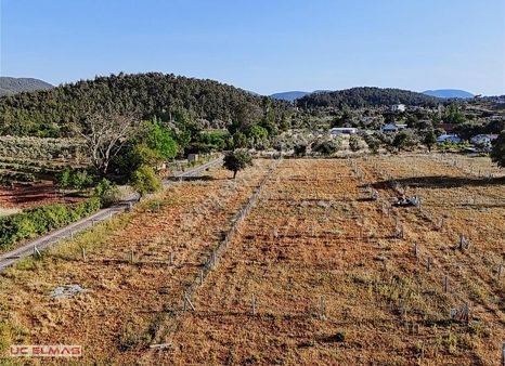 Üçelmastan Yeniköyün En Güzel Yerinde 252 M²muhteşem Bahçeler