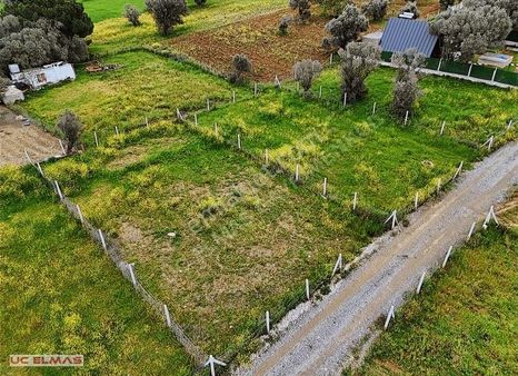 Üç Elmastan İnanılmaz Fiyata 479 M²tapulu Muhteşem Bir Bahçe