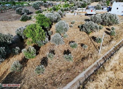 Üç Emastan Hayatınızı Değiştirecek 1.600 M²tek Tapu Harika Bahçe