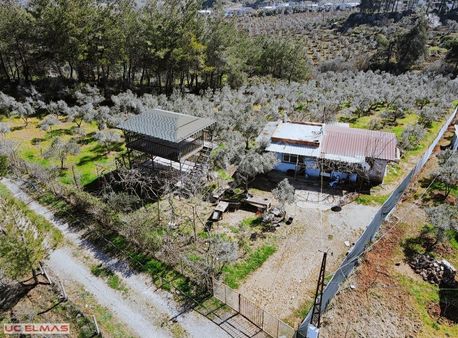 Üç Elmastan İnsanı Çıldırtacak Güzellikte 3.300 M²tapulu Bahçe