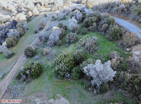 Üç Elmastan Aklınızı Baştan Alacak Fiyata 1.650 M²muhteşem Bahçe