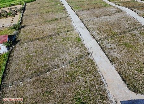 Üç Elmastan Ömrünüze Ömür Katacak 845 M²tapulu Muhteşem Birbahçe