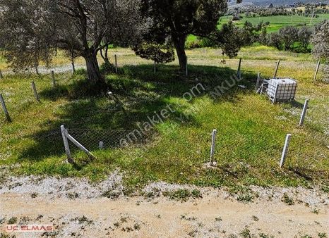 Üç Elmastan İmarın Hemen Yanında 220 M²muhteşem Bir Bahçe