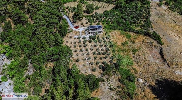 Antalya Da Doğanın Kalbinde Huzur Dolu Bir Hayat...