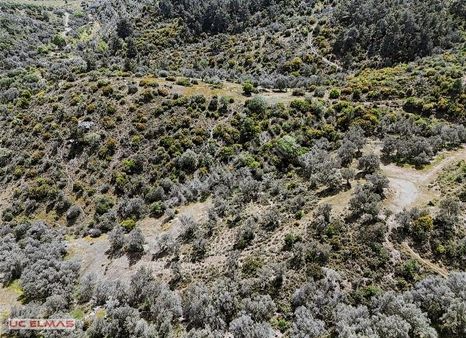 Üç Elmastan İnanılmaz Fiyata Tek Tapu 9.050 M²muhteşem Bir Arazi