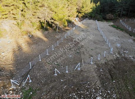 Üç Elmastan Doğanın Tam Kalbinde 845 M²tek Tapu Rüya Gibi Bahçe