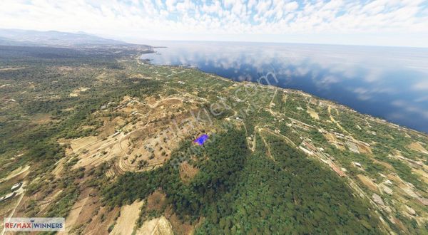 Okurcalar'da Yatırıma Uygun Satılık Tarla Acil