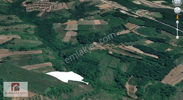 Marmara Gets - İzmit Sapakpınar Satılık Yollu Tarla Ve Fındıklık