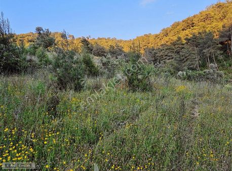 Asil Emlaktan Dalyan Gökbelde Satılık Manzaralı 17192m² Tarla