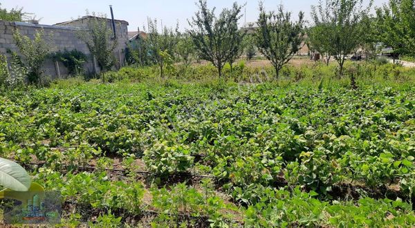 Meram Gödenede Yapı Kayıtlı, Faal Hobi Bahçesi Elektrik & Su