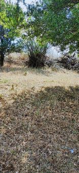 Sakarya Pamukova Çilekli Köyünde Satılık 1157 M2 Arsa