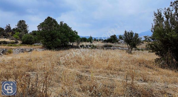 Akseki Erenyaka Mahallesi'nde Tek Tapu Tarla