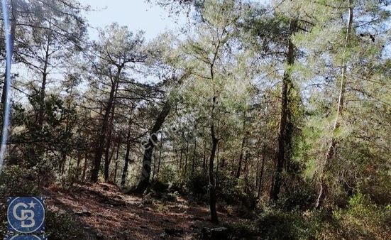 Halitağalar'da Satılık Tek Tapu Tarla