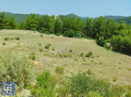 Uzunlarda Satılık Müstakil Arazi