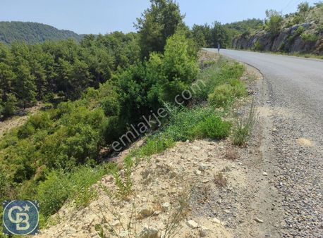 Uzunlar' Da Satılık Müstakil Arazi