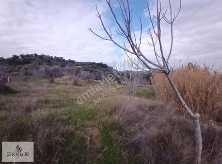 Akkuş Emlak'tan Asvalt Yola Sıfır İncirlik