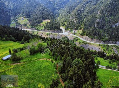 Yalancı Cennet Hamsiköy'de Satılık 3 Tapu 3 Parsel