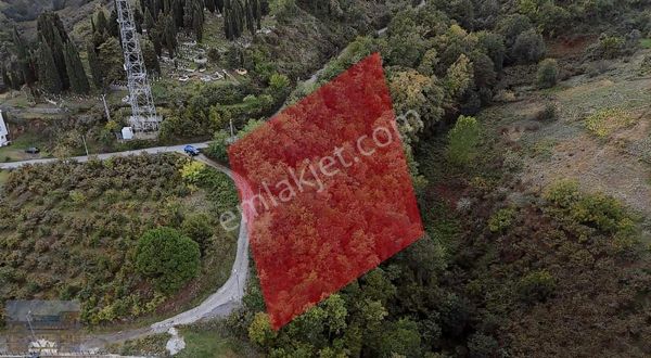 Akçaabat Salacık'ta Mükemmel Konum Satılık 2417 M2 Arsa