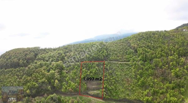 Akçaabat -mersin Mah.'de Satılık 1907 M2 Fırsat Arsa