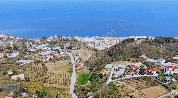 Akyazı'da Deniz Manzaralı Fırsat Arsa