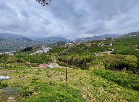 Ortahisar Gözalan Mah.'de Satılık 4180 M2 Arazi