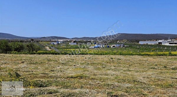 Foça Yolu Üzerinde İçinde Konteynerlı Bahçe Satılık