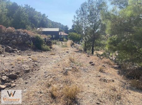 Winner- Söğüt Bahçeli Bölgesinde+köy İçinde+ulaşımı Kolay Arazi