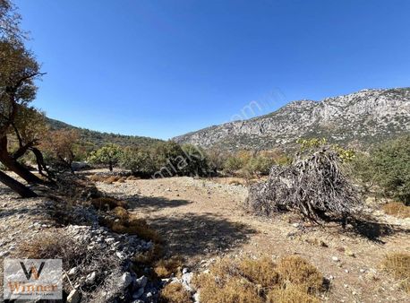 Winner- Söğüt'te Yola 100m Yakınlıkta + Düz Zemin Tarla Fırsatı!