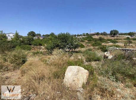 Winner-cumhuriyet+denize 800m+yola Cepheli+düz Arazi!