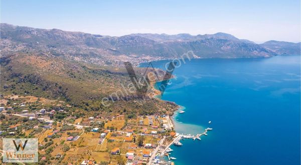 Winner- Söğüt'te Evlerin Olduğu Bölgede Tiny House'a Uygun Arazi