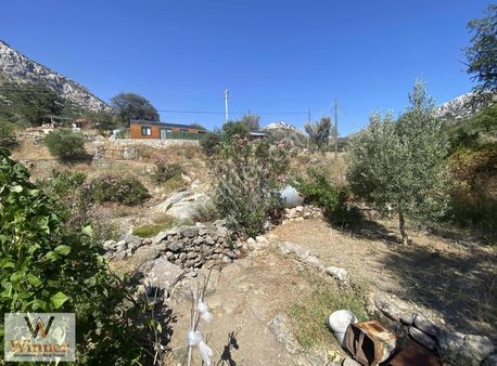 Winner- Söğütte Tiny House İçin Uygun Satılık Düz Zemin Tarla