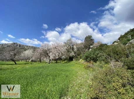 Winner-denize Yakın+düz Zemin+köy Merkezi+tiny House İçin Uygun