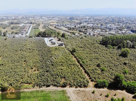 Öğremen'den Darıcı Mahallesin'de 1169 M2 Villa İmarlı Arsa