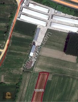 Öğretmen,den Düzce Merkez Ozanlar Mahallesinde 5,418 M2