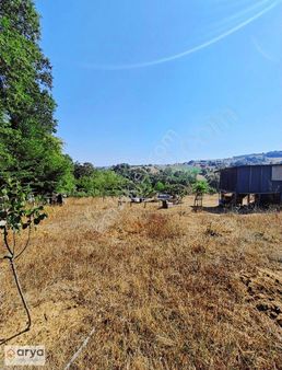 İzmit Şahinler Köyünde Icinde Ev Olan Satılık Meyve Bahcesi