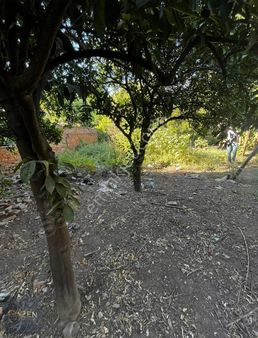 Aydın Efeler Umurlu Mahallesinde Yatırımlık Arsa!