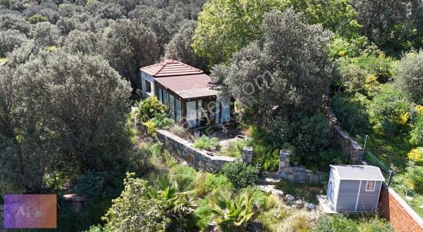 1900 M2 Arsa |130 M2 Yapı Kayıt Belgeli Satılık Zeytinlik