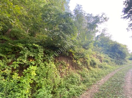 Akçaabat Akçakale De Satılık Arazi