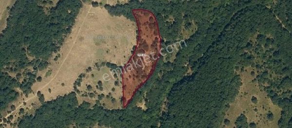 Yön Gayrimenkul''den Balya Göloba'da 6258 M2 Satılık Tarla