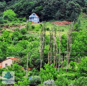 Geyve Akıncı'da Köy İmarlı, Yolu Mevcut, Ormana Komşu Arazi