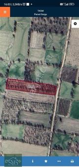 Keçiborlu Kılıç 2575 M² Badem Bahçesi Kadastro Yola Cephe Satılık