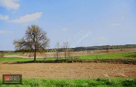 *realty World* Gümüşdere'de Satılık Köye Yakın Tarla