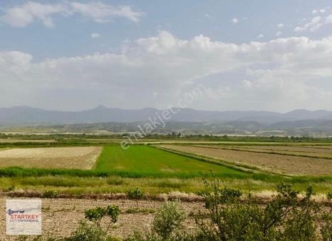 Denizli Sarayköyde Otoyol Cepheli 11.172 M2 Satılık Tarla