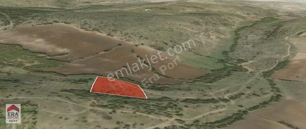 Era Port Güvencesiyle Balıkesir Pamukçu Da 4164m² Tarla