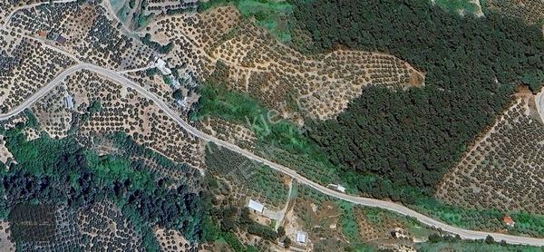 Nitelikten' Mudanya Dereköy'de 381m² Satılık Tarla